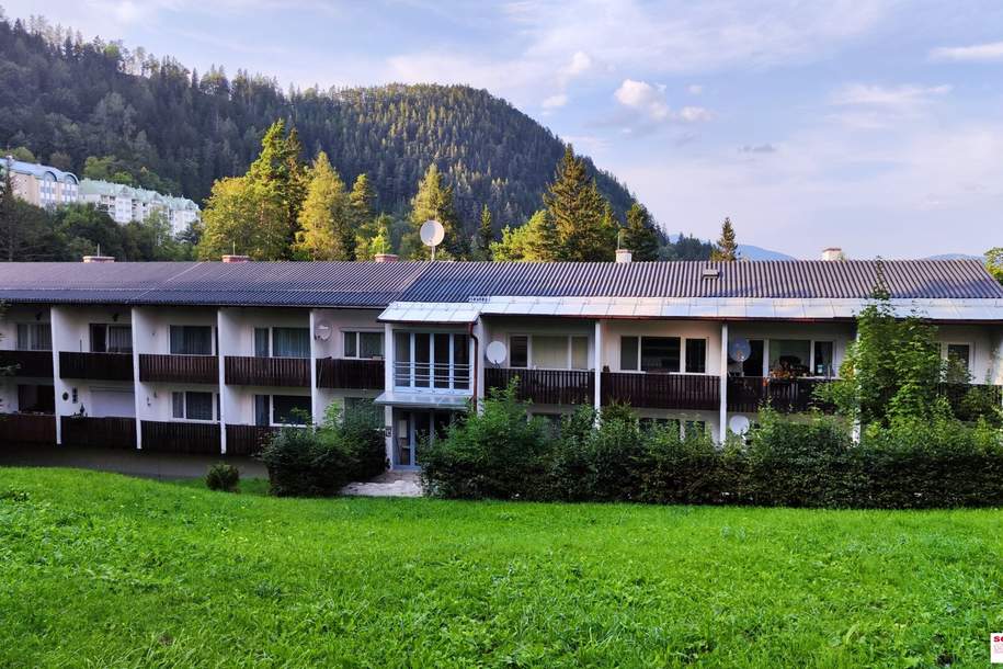 Gemütliche Wohnung am Semmering zu verkaufen!, Wohnung-kauf, 55.000,€, 2680 Neunkirchen