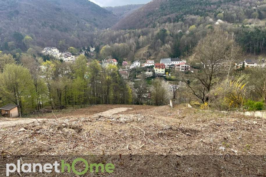 Grundstück in Hanglage in Kaltenleutgeben, Grund und Boden-kauf, 499.000,€, 2391 Mödling