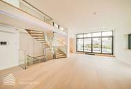 Exklusive 5-Zimmer-Dachterrassenwohnung, Nähe Stephansplatz