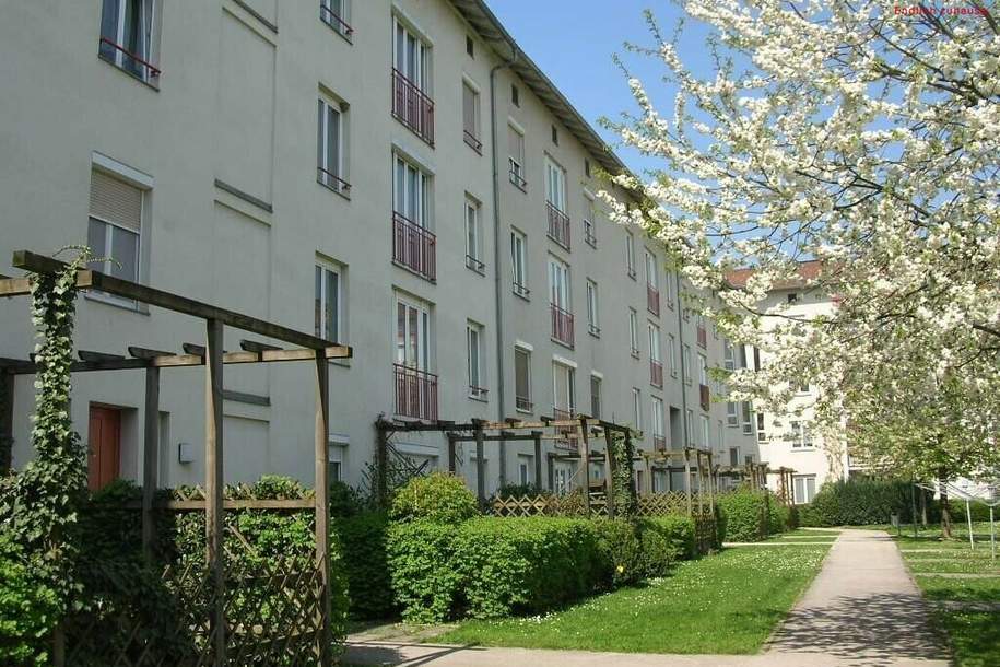 Wohnen in Leonding: Helle 3-Zimmer-Wohnung (80,81 m²) mit Loggia &amp; Carport im letzten Stockwerk (03.OG) – ab 01.06.2026 Verfügbar! WOHNUNG WIRD IM MAI 2026 NOCH SANIERT!, Wohnung-miete, 914,00,€, 4060 Linz-Land