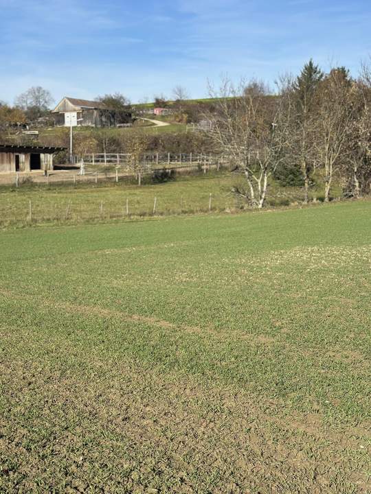 SONNIGE LEBENSQUALITÄT AM LAND FÜR IHR PRIVATES EINFAMILIENHAUS OHNE BAUZWANG