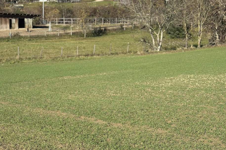 SONNIGE LEBENSQUALITÄT AM LAND FÜR IHR PRIVATES EINFAMILIENHAUS OHNE BAUZWANG, Grund und Boden-kauf, 86.450,€, 3701 Tulln