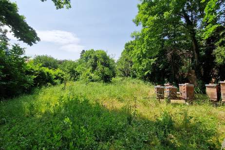 ***Exklusives Grundstück in Zentrumslage!***, Grund und Boden-kauf, 799.000,€, 2344 Mödling