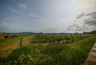 Riesling Weingarten Riede Röthling - PROVISIONSFREI!