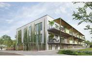 Midori Living - Kunst des Wohnens