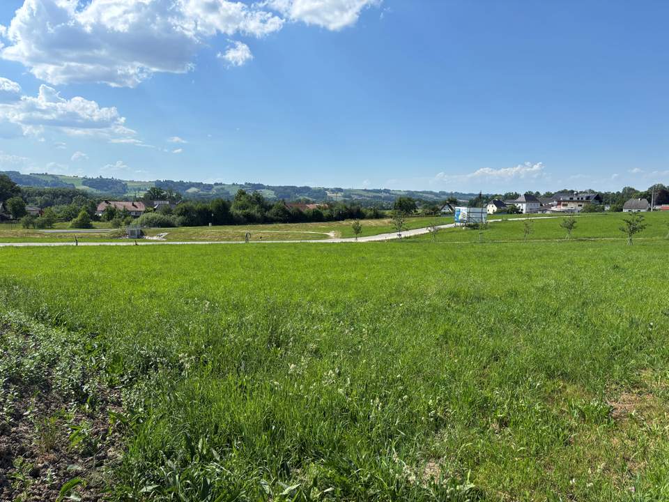 Baugrundstück in Schlierbach, Gfl. 252/90