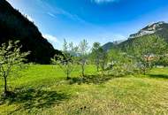 Achensee: Grandioses Grundstück in idyllischer Ruhelage mit einer Fläche von ca. 1010 m²!