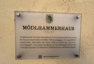 Großzügige Bürofläche oder Geschäftslokal im "Mödlhammerhaus"
