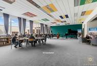 Exklusive Gesamtfläche | Außergewöhnliches Objekt mit großem Potential zur Vermietung | Variante (1)