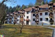 PROVISIONSFREI! REIN 2c