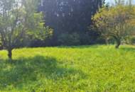 „Ihr Logenplatz in Wildon – Baugrundstück mit Aussicht, Sonne &amp; Privatsphäre“