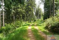 Großes Anwesen mit viel Wald in traumhafter Lage!