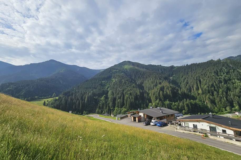Grundstück mit unverbaubarem Panoramablick in Viehhofen, Grund und Boden-kauf, 399.000,€, 5752 Zell am See