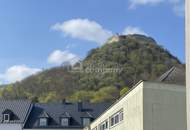 Weitläufigkeit und großzügiger Freiraum