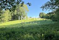 Erholung pur im eigenen Wald mit Bach und Wiese