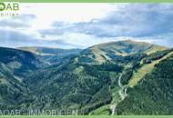 IHR PROJEKT AUF 4,7 HA ALMFLÄCHE | PANORAMABLICK GARANTIERT | IDEAL FÜR TOURISTISCHE NUTZUNG
