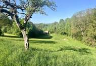 Architekten-Villa in traumhafter Landschaft – ein Rückzugsort mit höchster Wohnqualität.