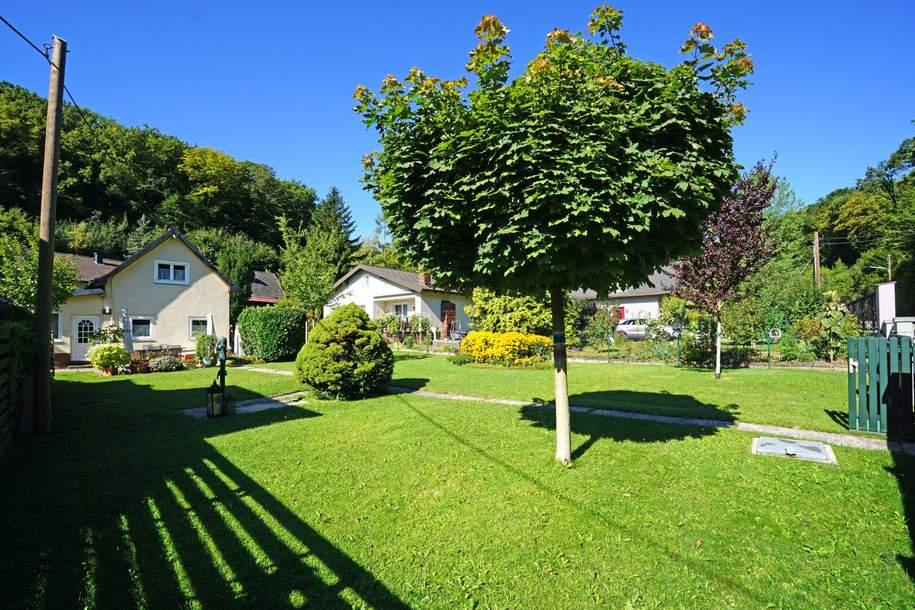 Baugrundstück in ruhiger, naturnaher Lage mit gepflegtem Holzhaus, Grund und Boden-kauf, 590.000,€, 1140 Wien 14., Penzing