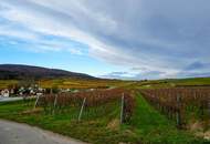 Einfamilienhaus mit viel Potenzial in ruhiger Lage von Pfaffstätten