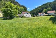 Sanierungsbedürftiges Haus mit großem Grundstück und Nebengebäude in ländlicher Umgebung