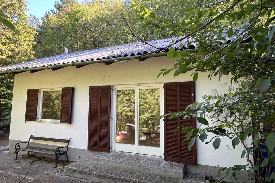Wienerwald-Idylle mit traumhaftem Ausblick – Haus mit großem Potenzial, Haus-kauf, 249.000,€, 2534 Baden