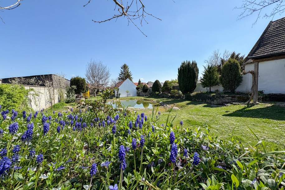 Hier fühlt man sich wohl, hier will man leben - Liebevoll erhaltene historische Landvilla Nähe Eisenstadt, Haus-kauf, 895.000,€, 7011 Eisenstadt-Umgebung