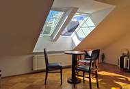 Palaiswohnung mit Donaublick