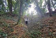 LIEBEVOLLES, SANIERUNGSBEDÜRFTIGES LANDHAUS IN GRÜNRUHELAGE MIT GESCHLOSSENEM INNENHOF UND HERRLICHEM GARTEN MIT ALTBAUMBESTAND