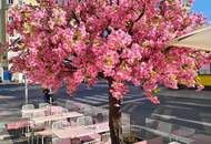 Trafik in TOP Lage mit gutem Kundenstock