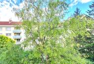 *** ERSTBEZUG DIREKT AM PARK - HELLER ALTBAU HOCHWERTIG SANIERT - ABSOLUTE RUHELAGE ***