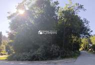 Traumhaftes Baugrundstück am Semmering – 1546 m² mit Berg- und Grünblick!