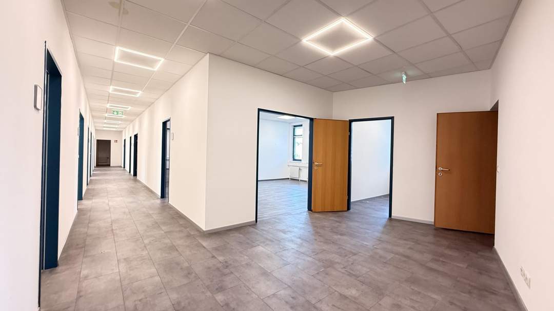 Büro am Franzosengraben in unmittelbarer U3-Nähe