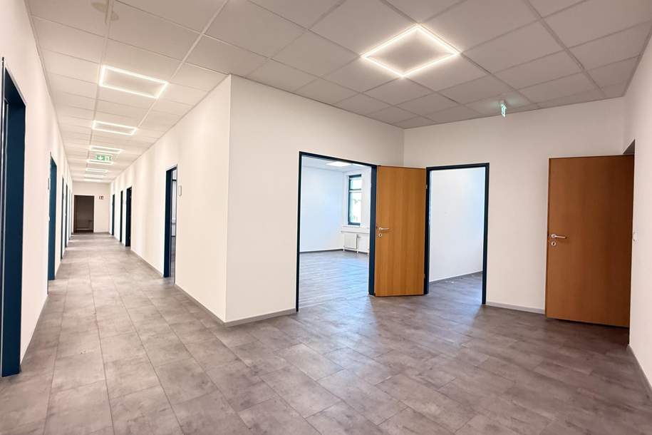 Büro am Franzosengraben in unmittelbarer U3-Nähe, Gewerbeobjekt-miete, 6.514,56,€, 1030 Wien 3., Landstraße