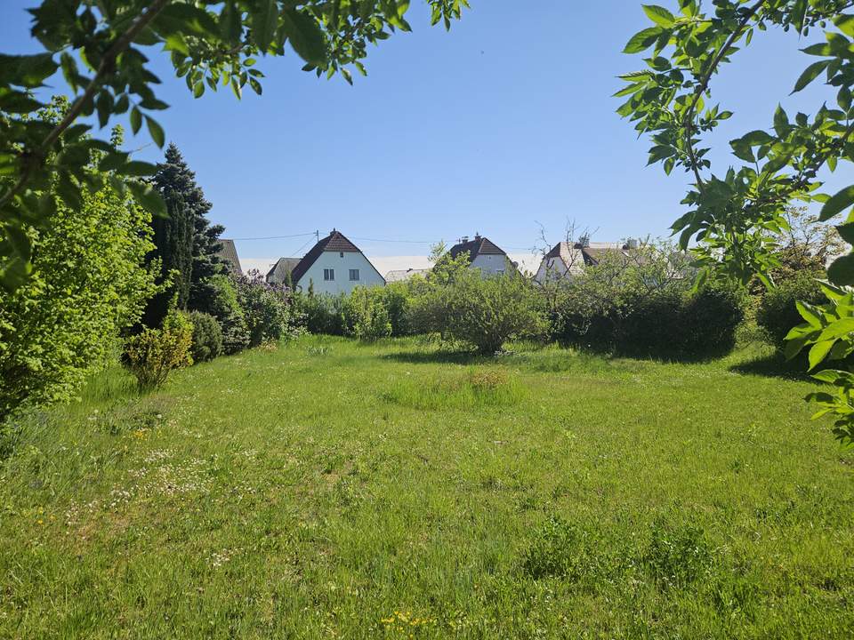 Baugrund samt Althaus / Leonding-Doppl