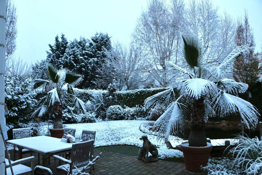 PROVISIONSFREI direkt vom Eigentümer: vollklimatisiertes Haus mit Lift, uneinsehbarem Garten, Schwimmteich (Provisionsfrei), Haus-kauf, 1.490.000,€, 2522 Baden