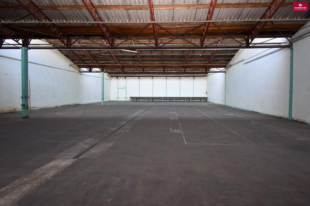 630 m2 Lagerhalle mit Freifläche bei Traiskirchen A2 B17