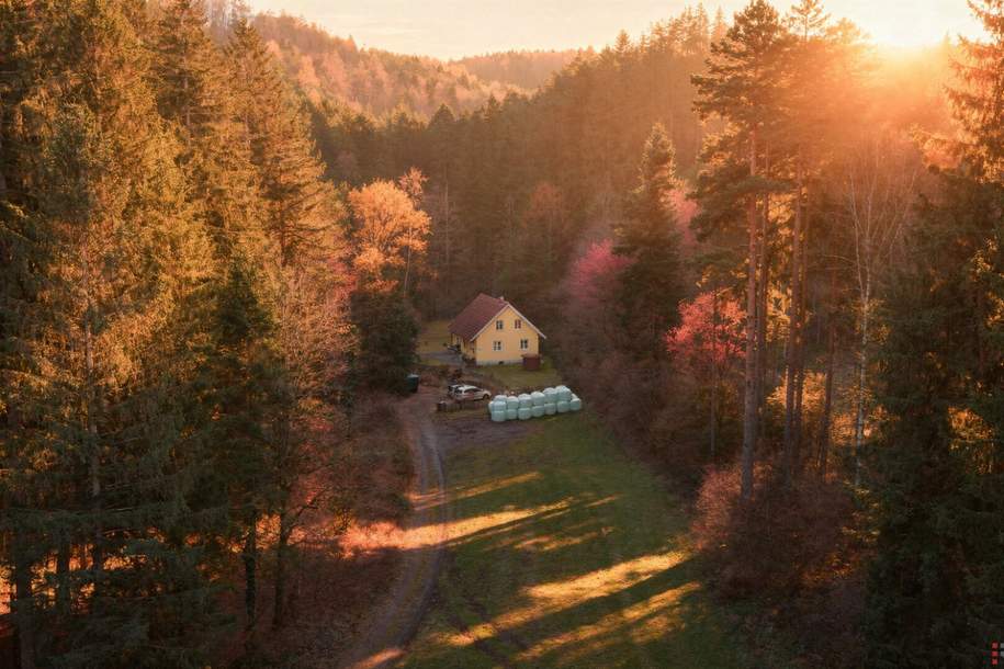 Haus in absoluter Ruhelage für Naturliebhaber I ca. 160m² Nutzfläche und rund 1000m² Garten I Bucklige Welt, Haus-kauf, 349.000,€, 2831 Neunkirchen