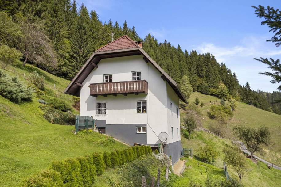 Kleinlandwirtschaft mit Wohnhaus und Wirtschaftsgebäude in Unterpreitenegg im Oberen Lavanttal, Haus-kauf, 350.000,€, 9451 Wolfsberg