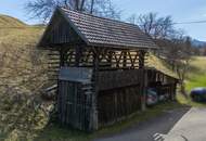 Landwirtschaft im Gailtal sucht grünen Daumen