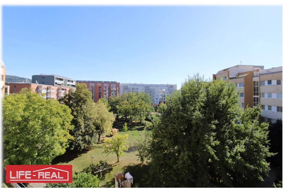 Top Wohnung im Biesenfeld