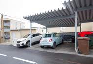 Neues Jahr, neues Glück – und ein neues Zuhause?