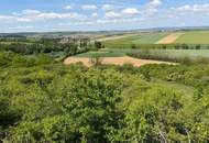 Großzügiges Grundstück in Rohrbach - Ideal für Freizeit Landwirtschaft! (Provisionsfrei)