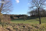 Landwirtschaftliches Anwesen mit mehr als 58 ha Grund!!!!!!