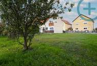 Unberührtes Juwel bei der Lobau