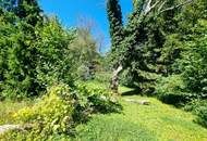 Großes Baugrundstück mit Altbestand vor den Toren Wiens. Bauträger aufgepasst! 1.000 m² bebaubare Fläche