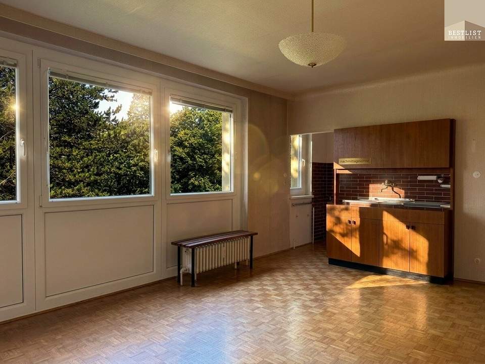1 Zimmer Wohnung am Doblhofpark