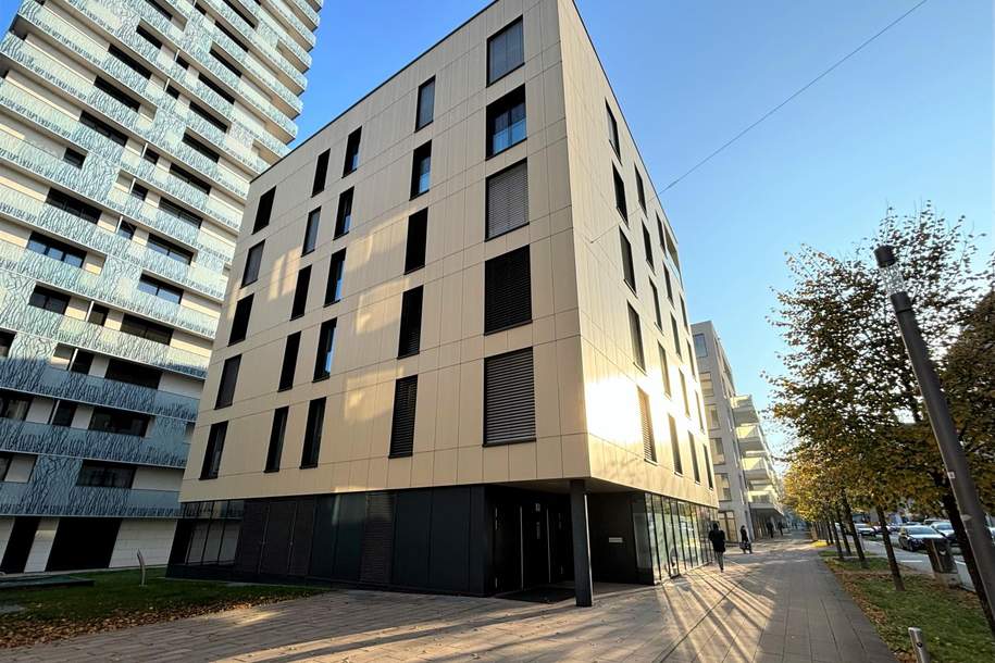 Urbaner Wohnkomfort – Moderne 3-Zimmer-Wohnung in Linz!, Wohnung-miete, 1.373,19,€, 4020 Linz(Stadt)