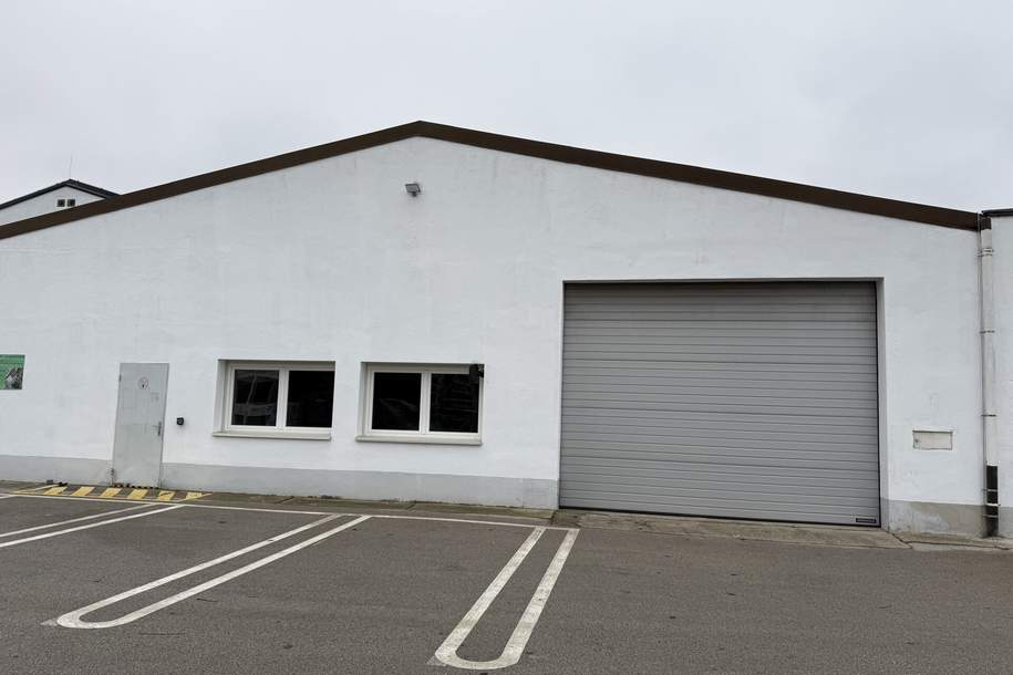 Halle mit Büro, Gewerbeobjekt-miete, 3.360,00,€, 2353 Mödling