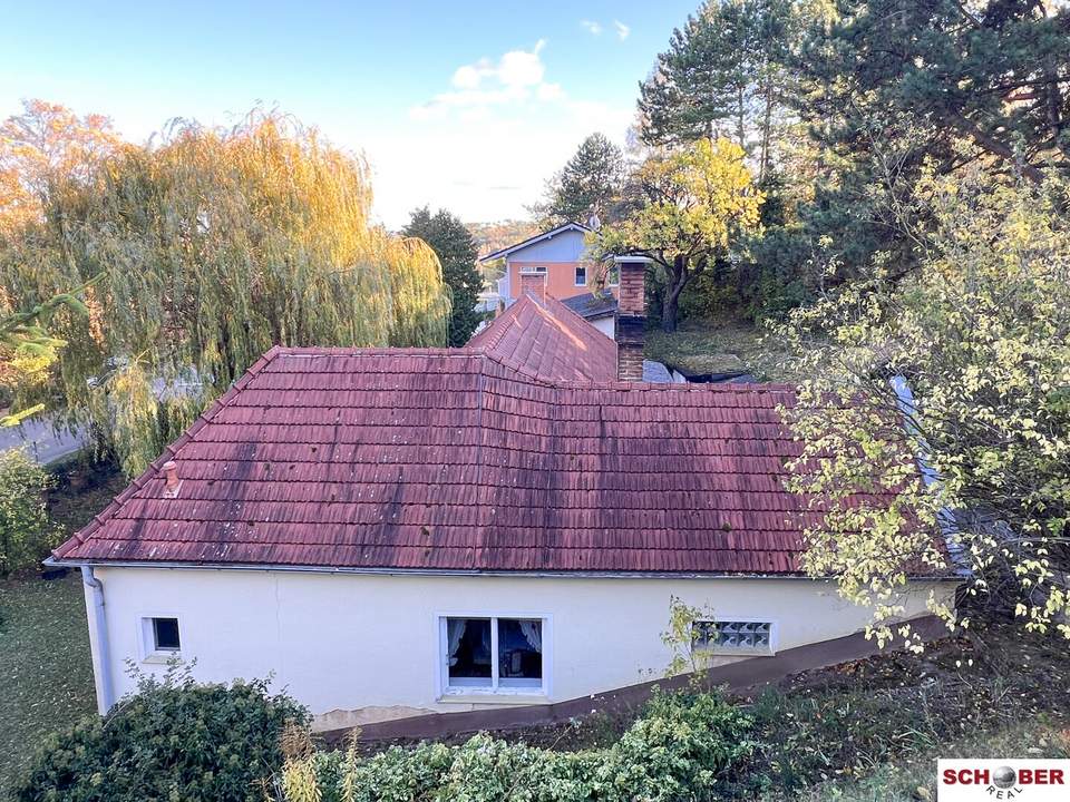 Wohnen am Waldrand