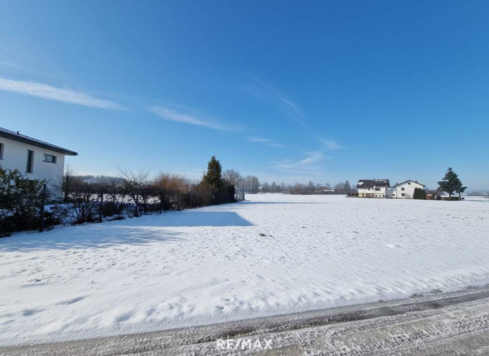 Baugrund für Ihr Eigenheim!